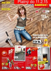 aktuální leták bauMax 30.1.2015-11.2.2015