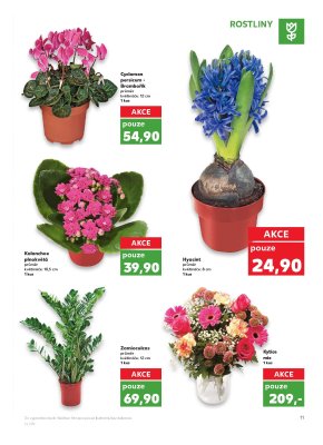 Kaufland leták příští týden strana 11