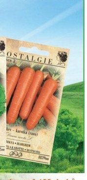 Nostalgie