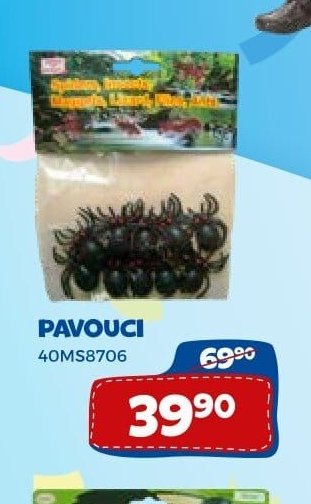 Pavouci
