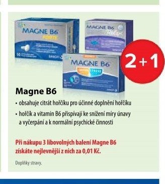 Magne B6