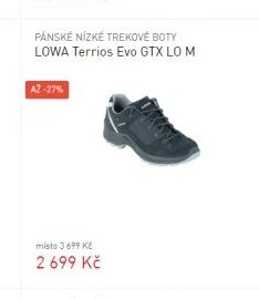 LOWA Terrios Evo GTX LO M