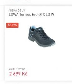 LOWA Terrios Evo GTX LO W