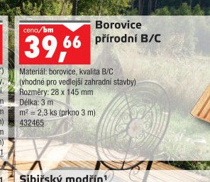 Borovice přírodní B/C