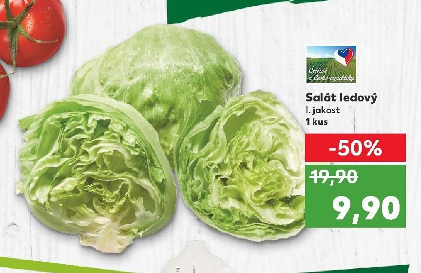 Salát ledový