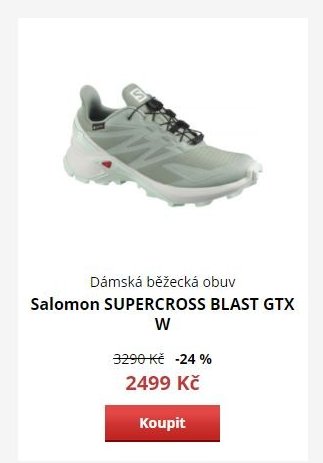 Salomon SUPERCROSS BLAST GTX W