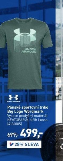 Pánské sportovní triko Big Logo Wordmark