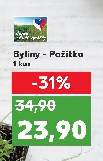 Byliny - Pažitka