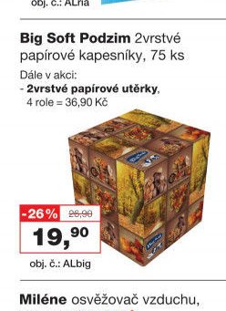 Big Soft Podzim 2vrstvé papírové kapesníky