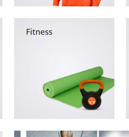 Fitness