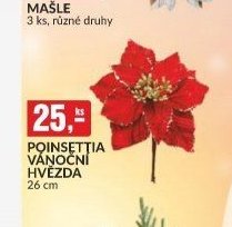 POINSETTIA VÁNOČNÍ HVĚZDA 26 cm