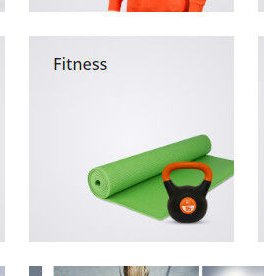 Fitness