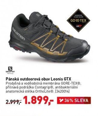 Pánská outdoorová obuv Leonis GTX