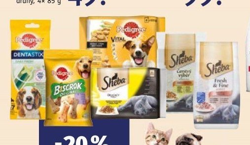 Pedigree a Sheba