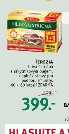TEREZIA hlíva ústřičná