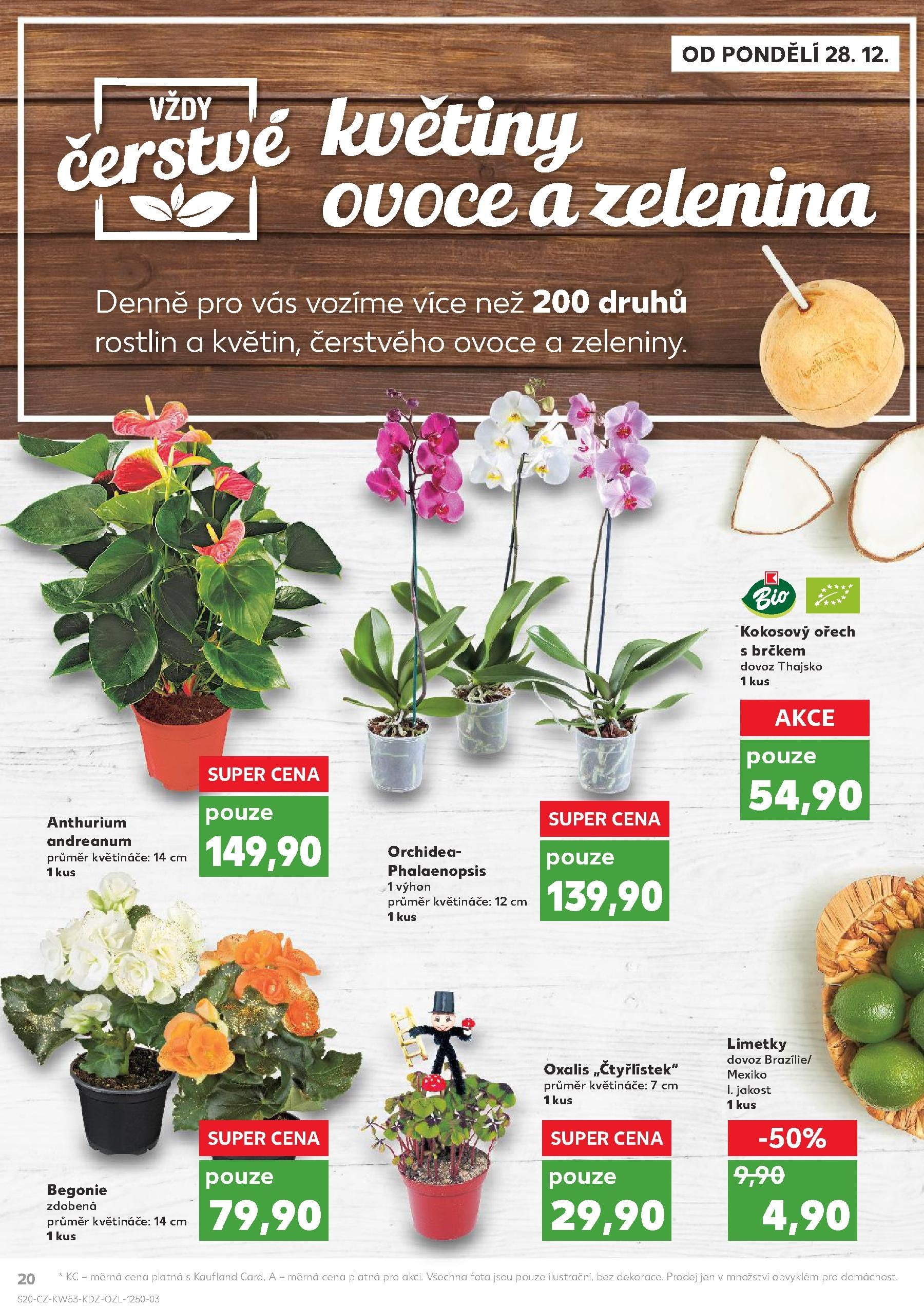 Strana 20