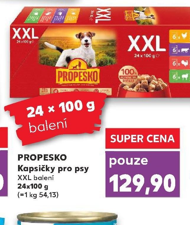 PROPESKO Kapsičky pro psy XXL balení 24x100 g