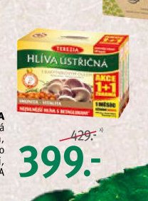 Terezia Hlíva ústřičná