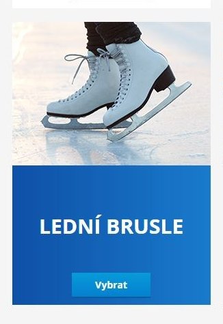 LEDNÍ BRUSLE