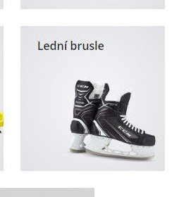 Lední brusle