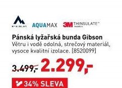 Pánská lyžařská bunda Gibson