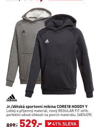 Jr./dětská sportovní mikina CORE18 HOODY Y