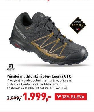 Pánská multifunkční obuv Leonis GTX