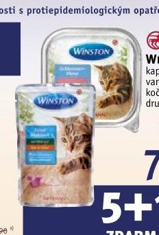 WINSTON kapsička nebo vanička pro kočky
