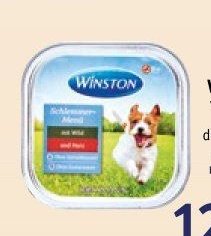 WINSTON vanička pro psy