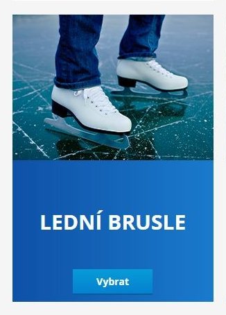 LEDNÍ BRUSLE