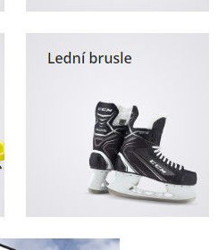 Lední brusle