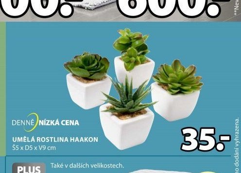 UMĚLÁ ROSTLINA HAAKON