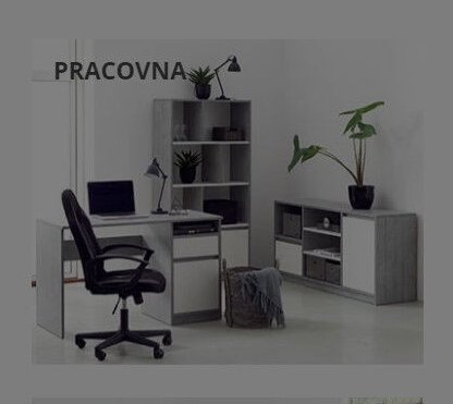 Pracovna