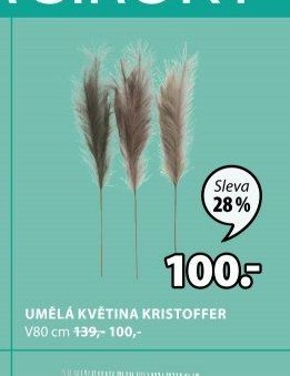 UMĚLÁ KVĚTINA KRISTOFFER