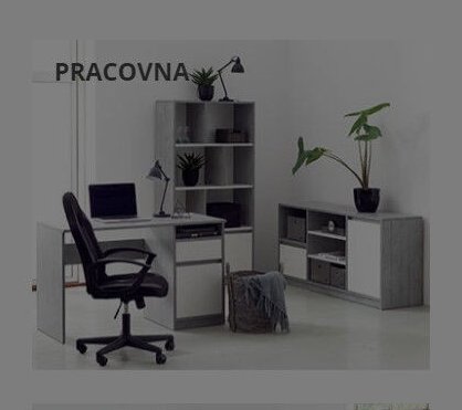 Pracovna
