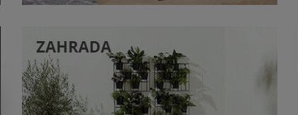 Zahrada
