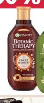 Garnier Botanic Therapy šampon