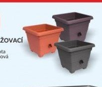 KVĚTINÁČ SAMOZAVLAŽOVACÍ BERGAMOT