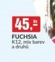 FUCHSIA K12