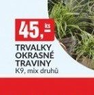 TRVALKY OKRASNÉ TRAVINY K9