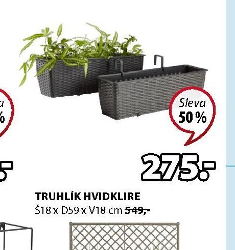 TRUHLÍK HVIDKLIRE