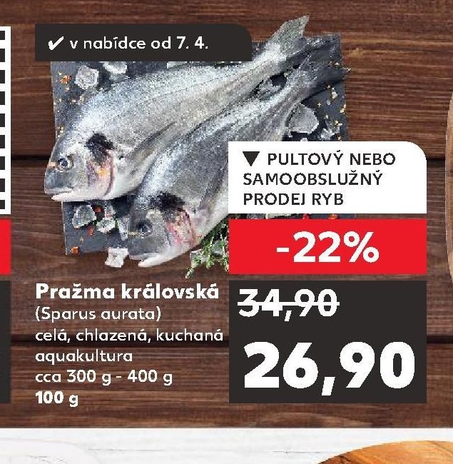 Pražma královská