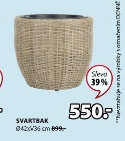 SVARTBAK