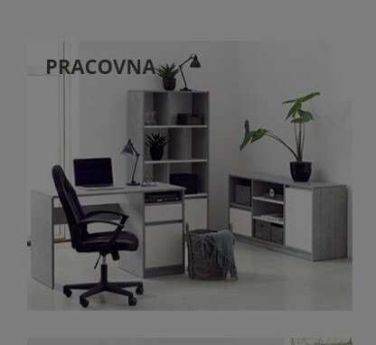 Pracovna