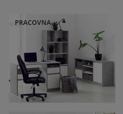 Pracovna