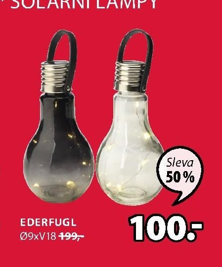 EDERFUGL