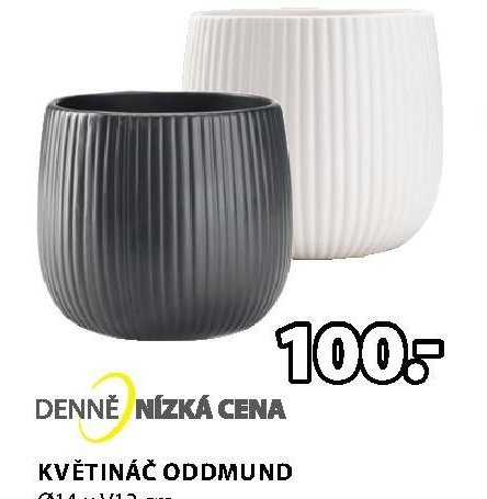 KVĚTINÁČ ODDMUND