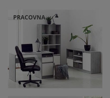 PRACOVNA