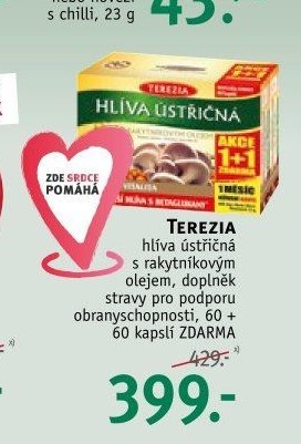 TEREZIA hlíva ústřičná