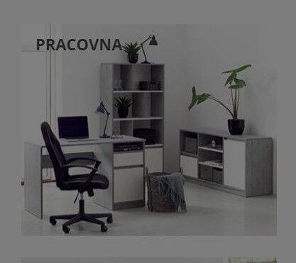 Pracovna